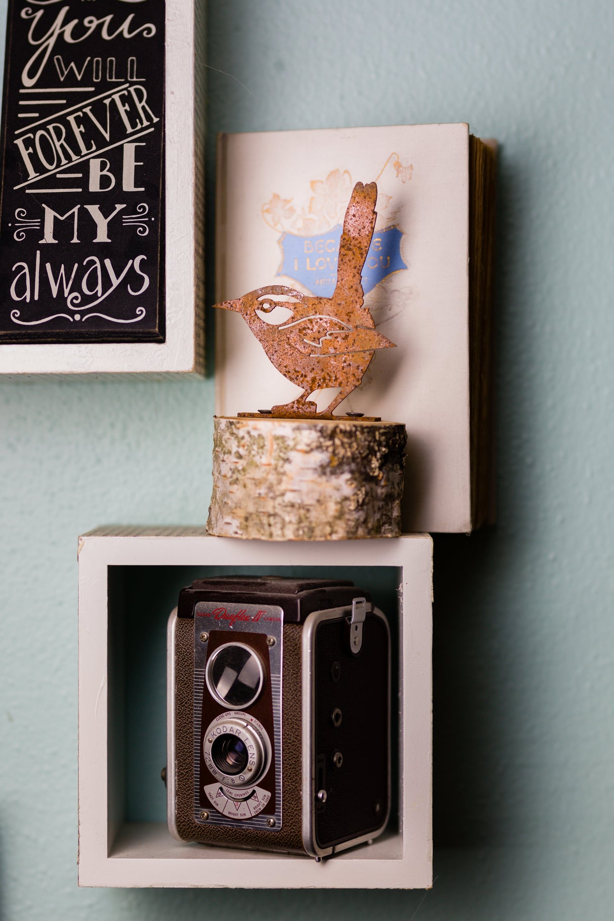 House Wren