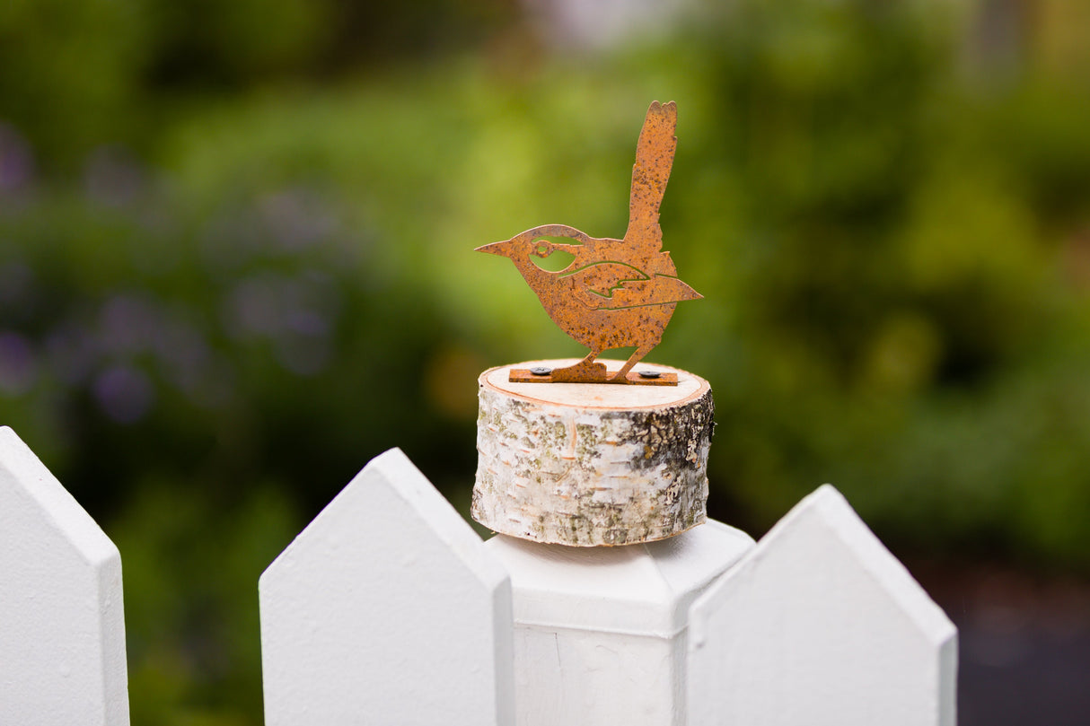 House Wren