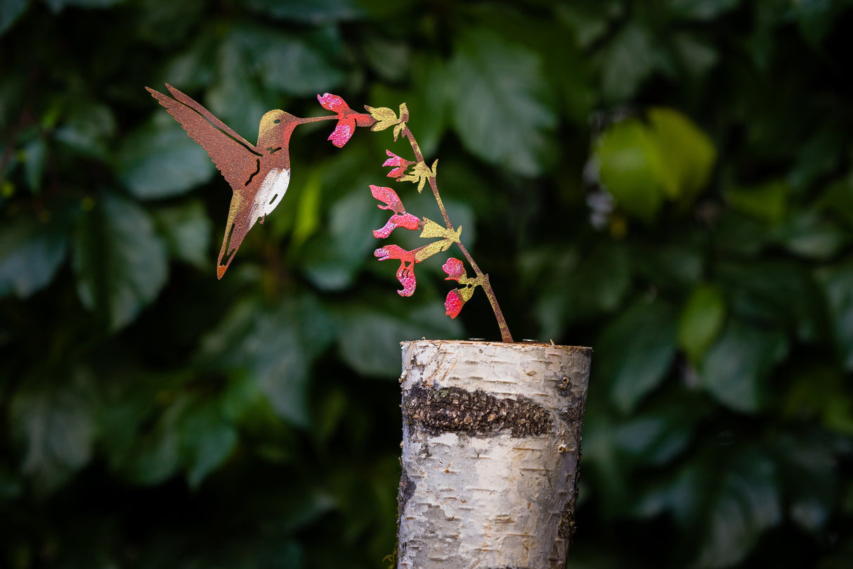 Hummingbird on Salvia Flower Tab