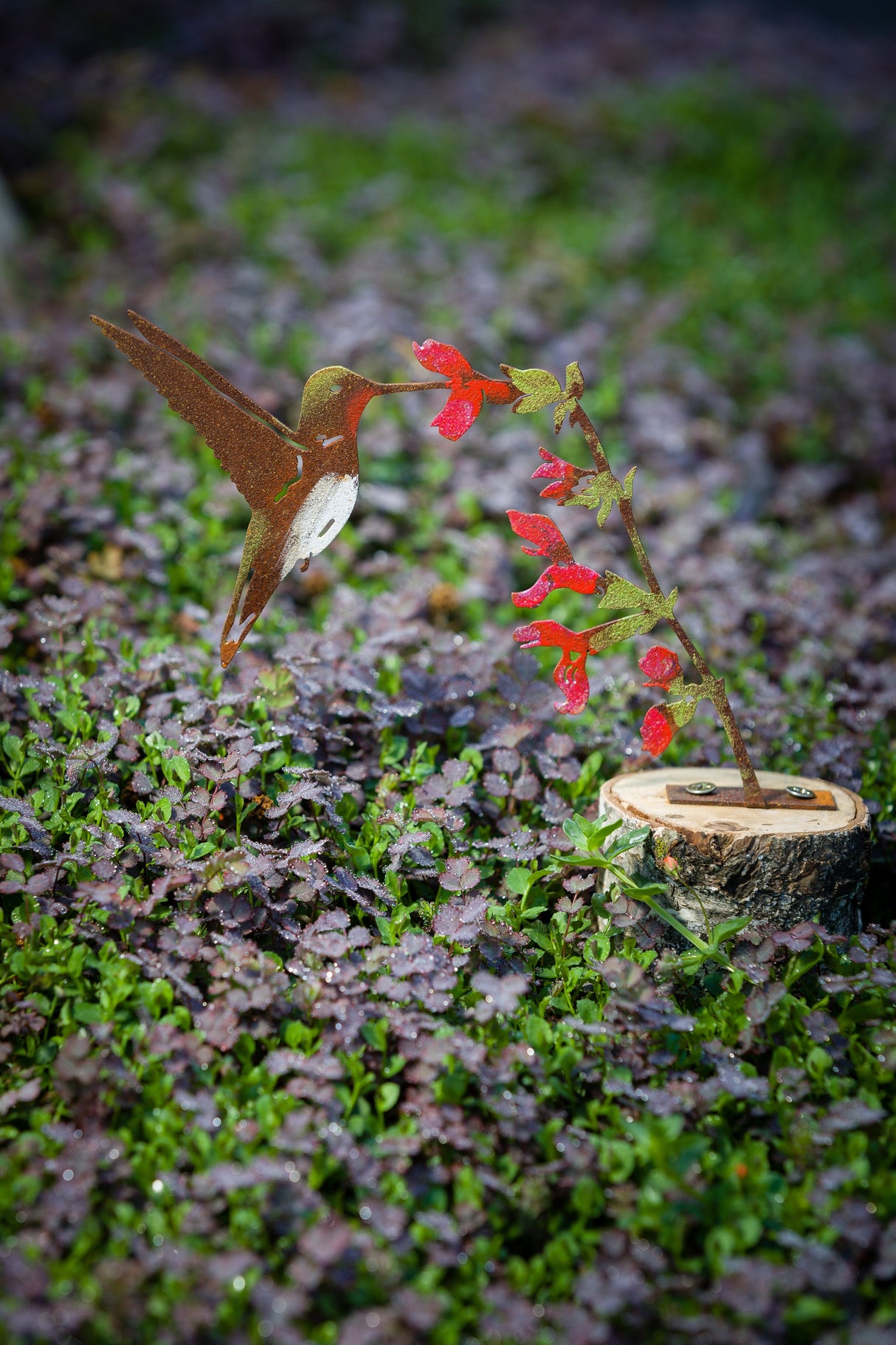 Hummingbird on Salvia Flower Tab