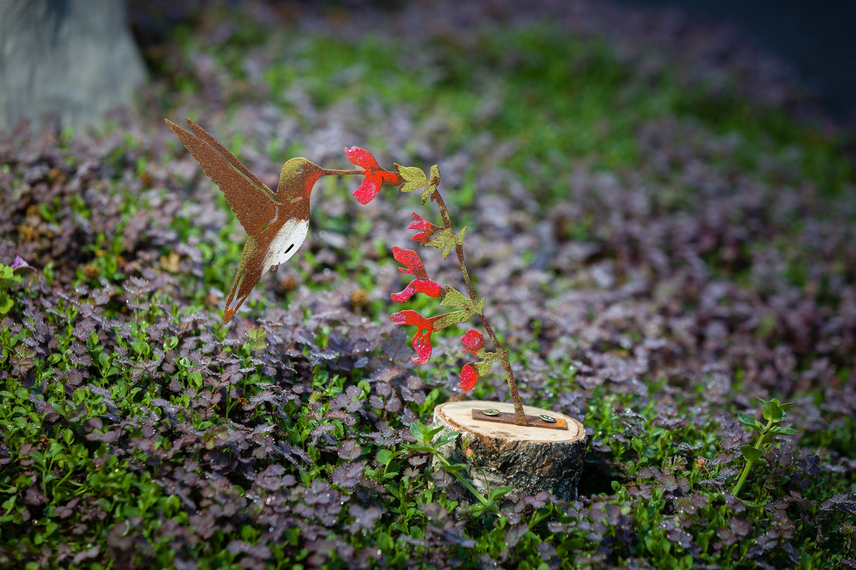 Hummingbird on Salvia Flower Tab