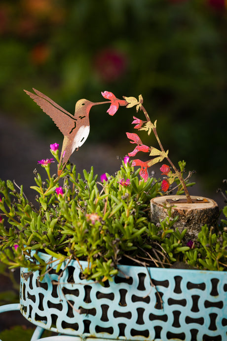 Hummingbird on Flower