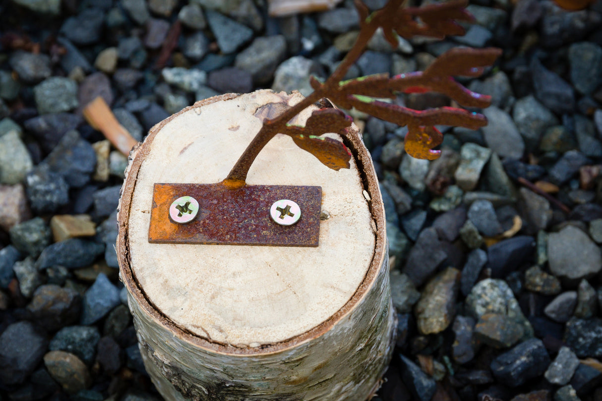 Hummingbird on Salvia Flower Tab