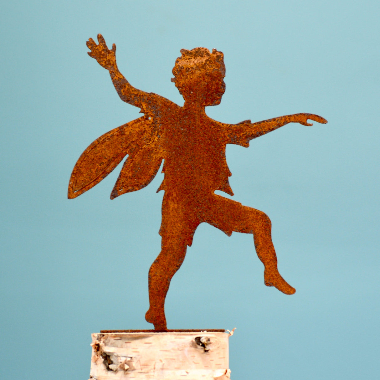 Skipping Boy Fairy