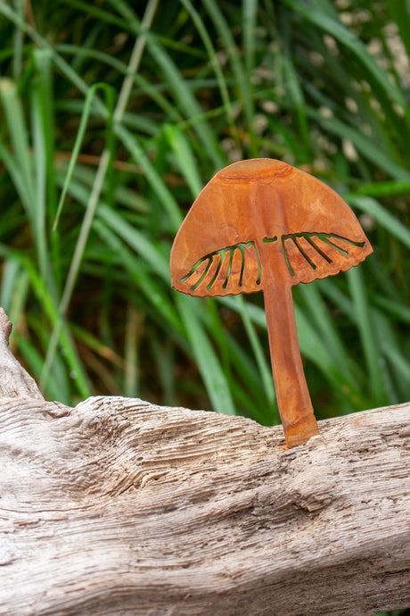 Magic Mushroom Tab