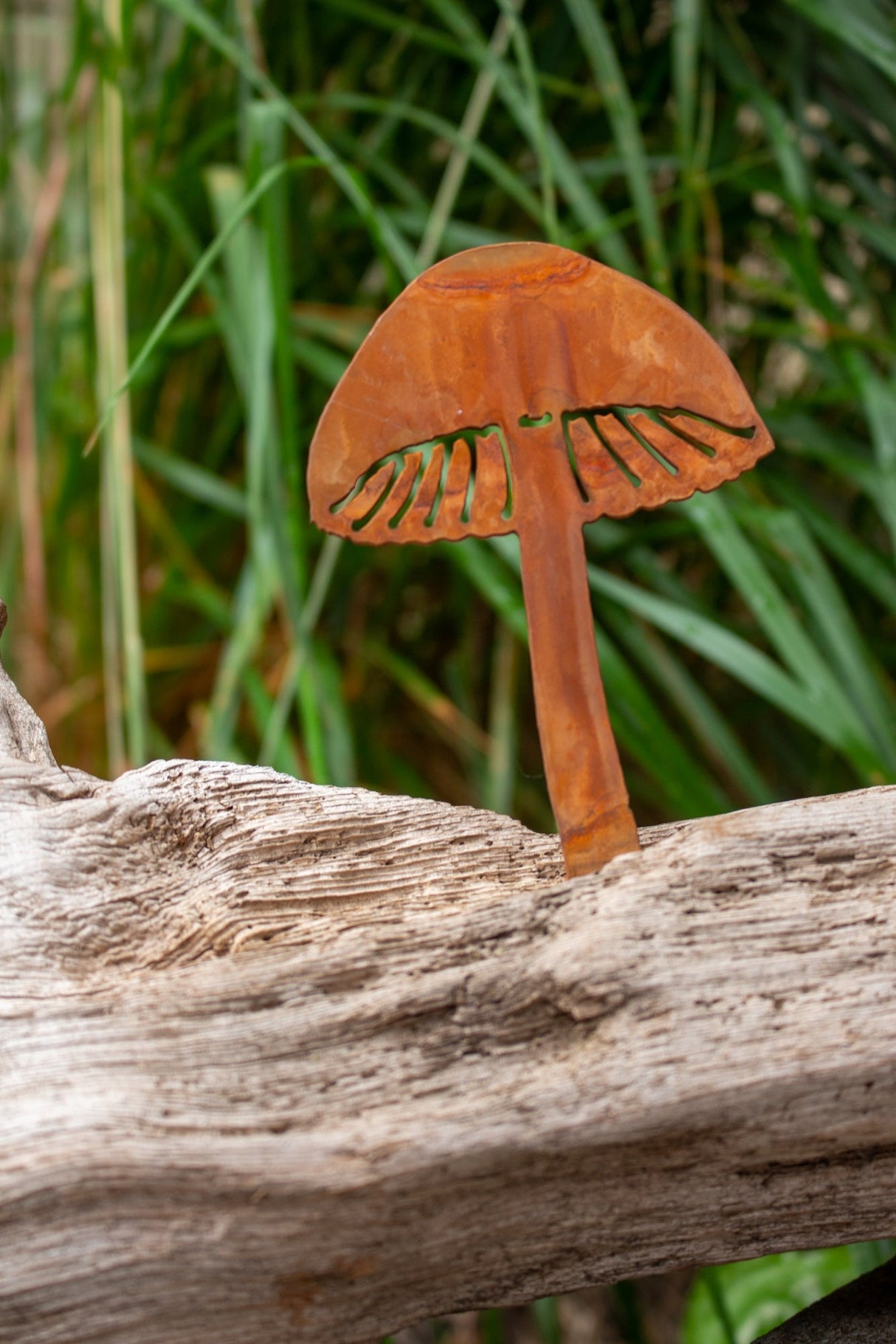 Magic Mushroom Tab