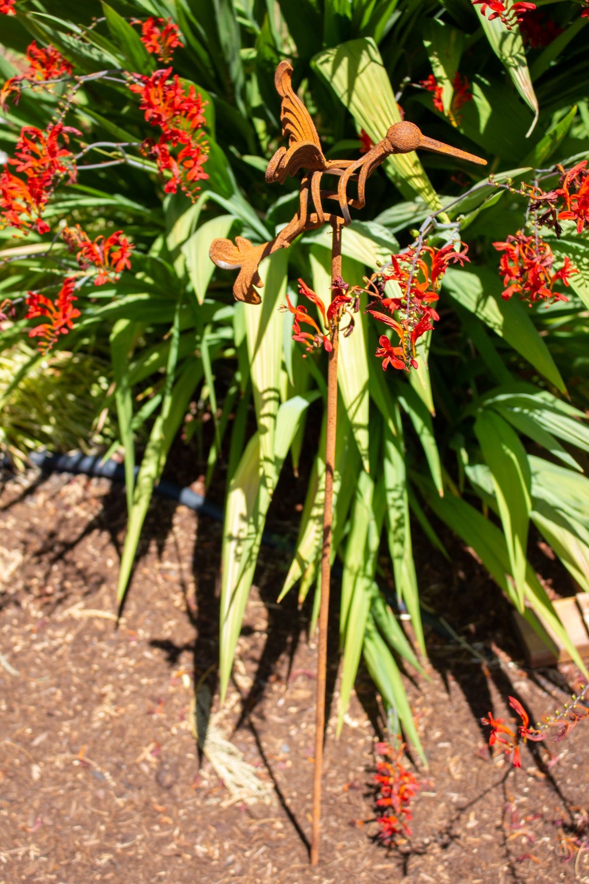 Hummingbird Yard Stake