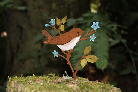 Upright Warbler with Flower