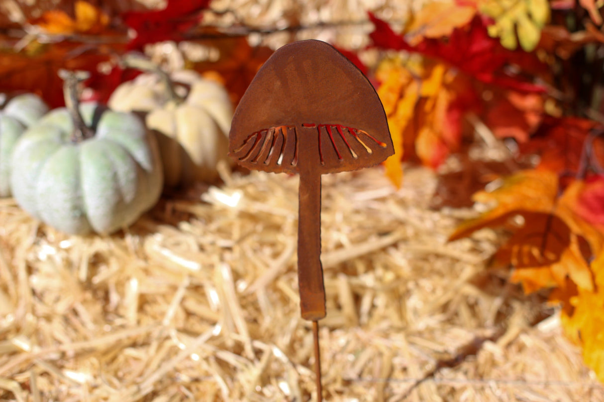 Magic Mushroom Pick