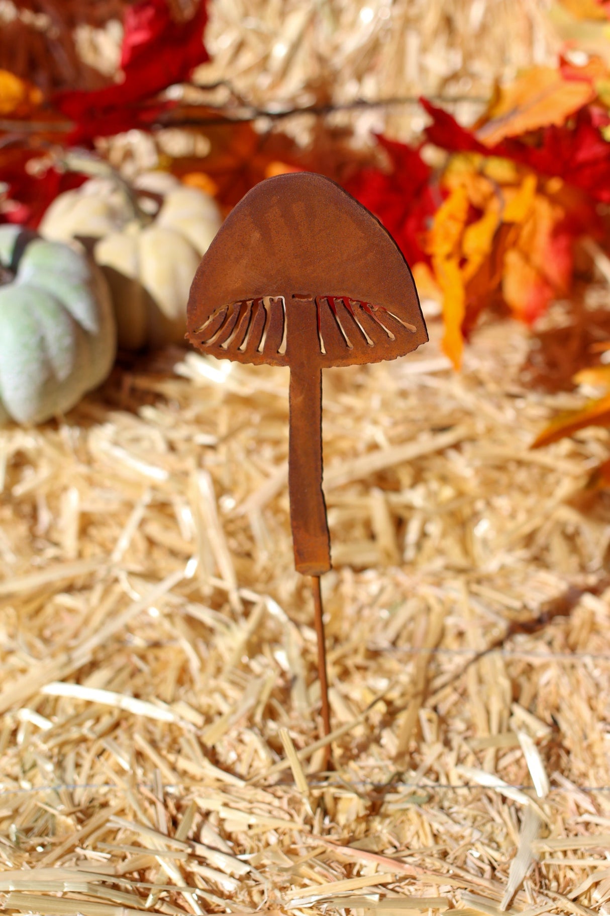 Magic Mushroom Pick