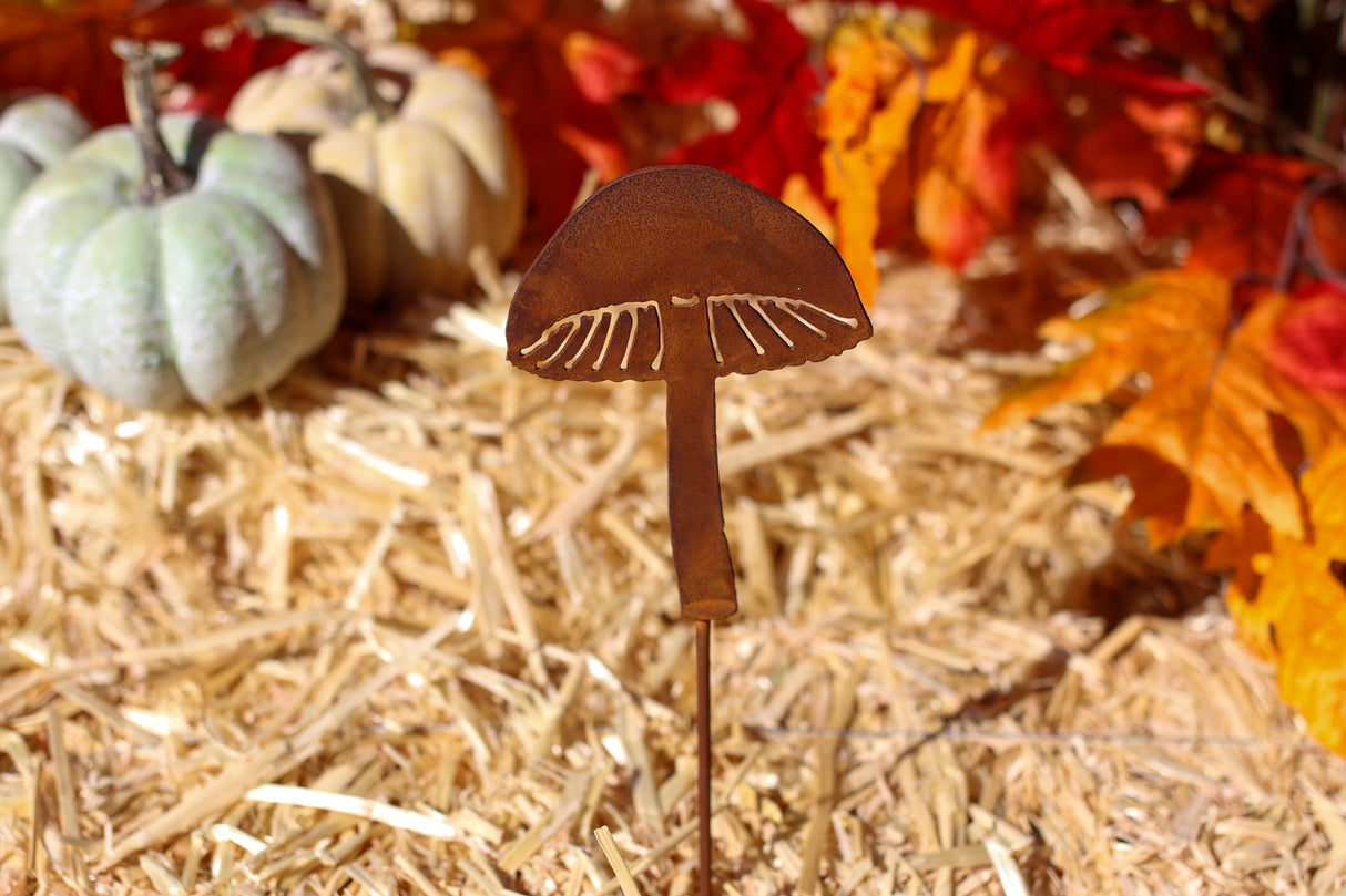 Magic Mushroom Pick