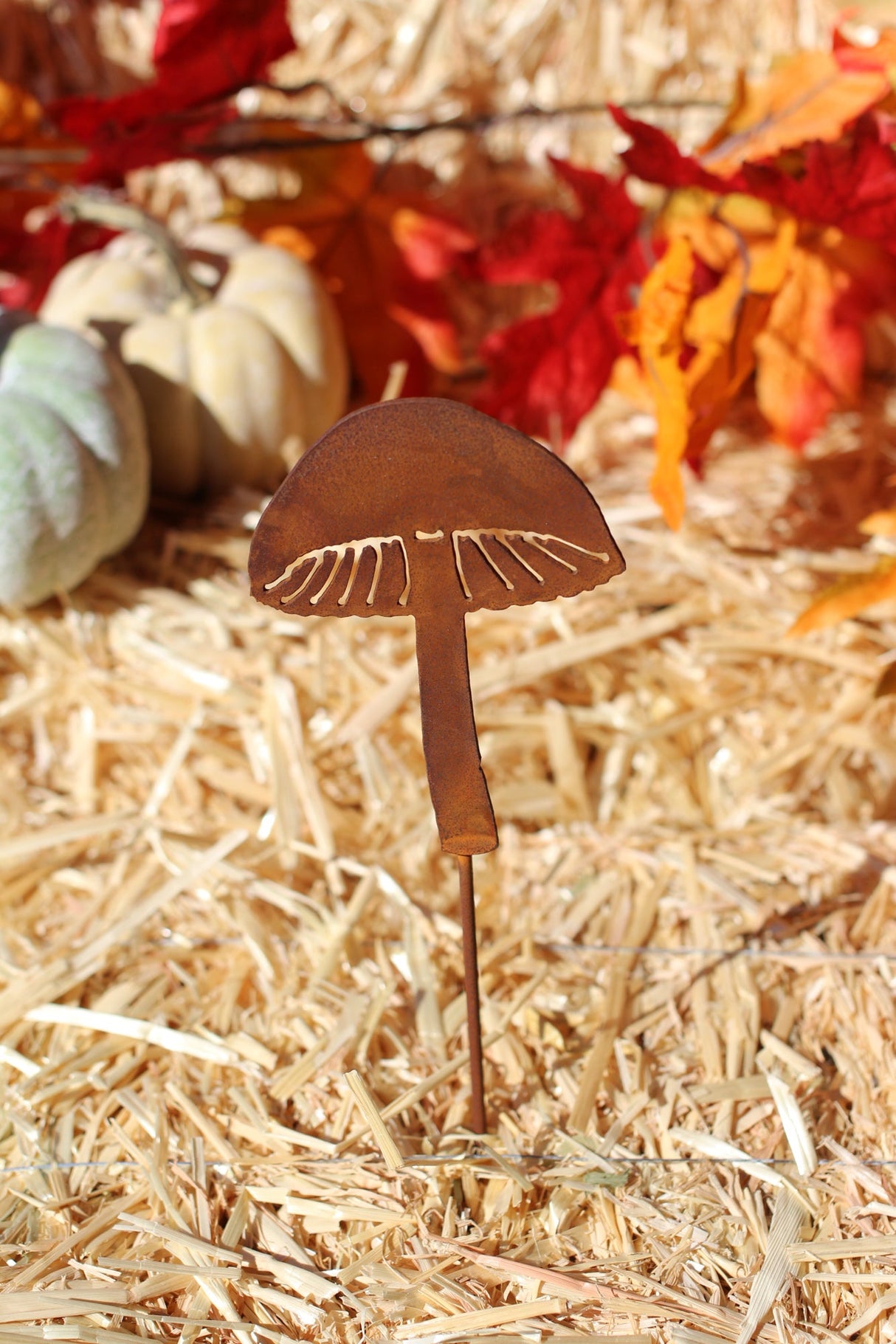 Magic Mushroom Pick