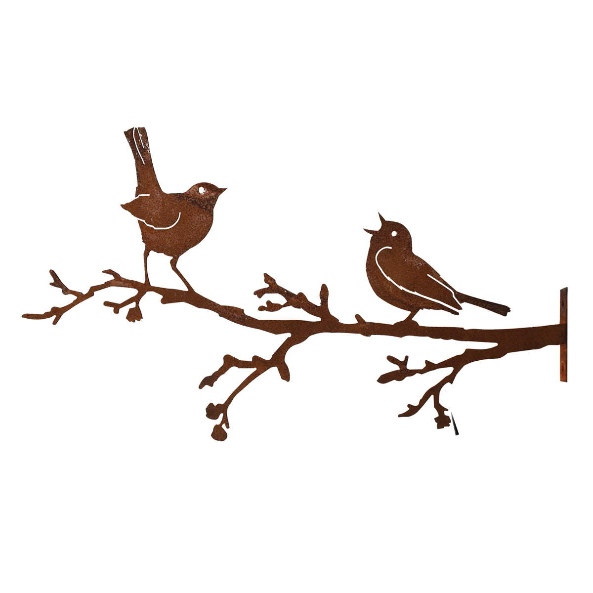 Warbler and Robin on Branch