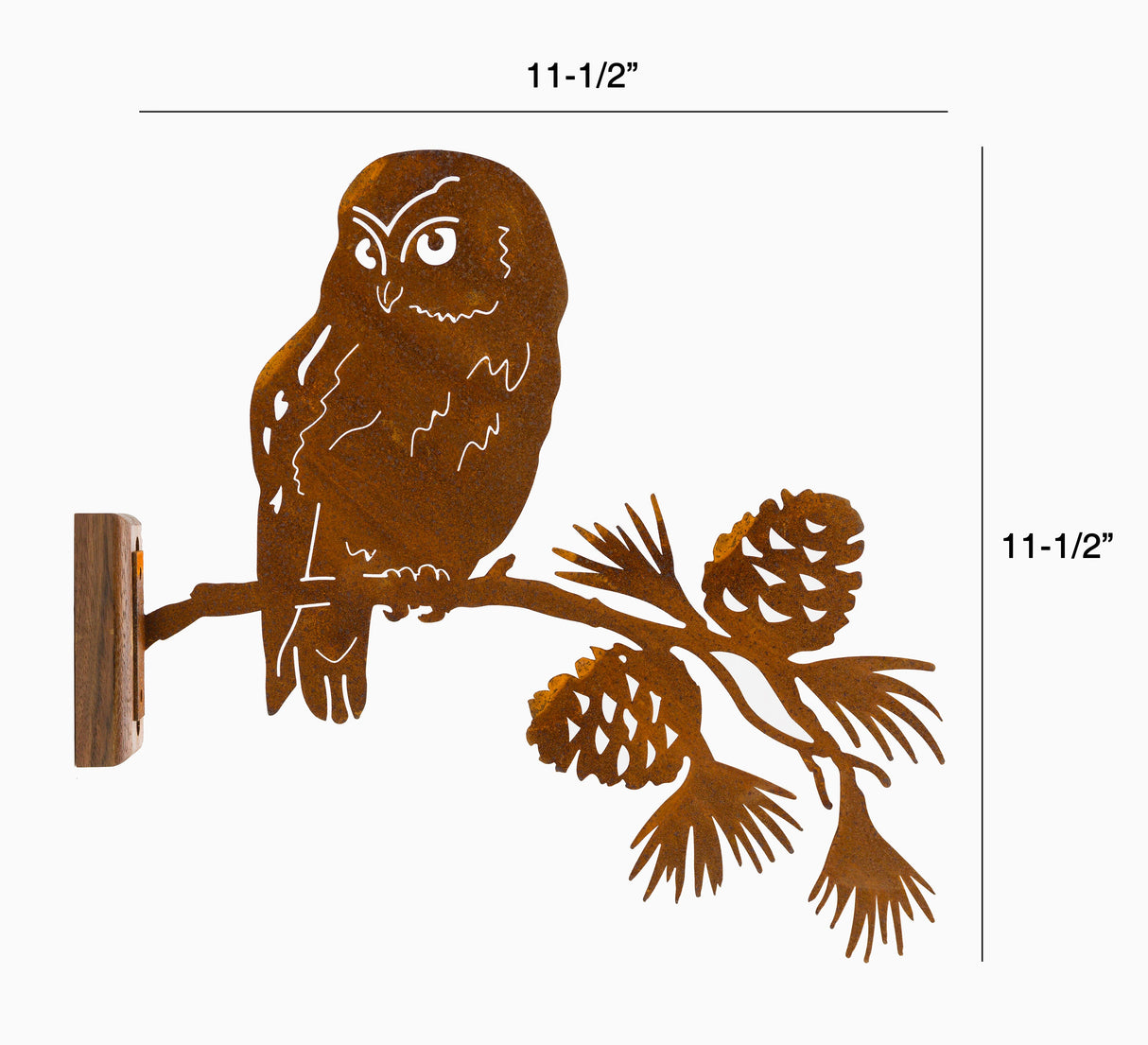 Saw-whet Owl on Pine Branch
