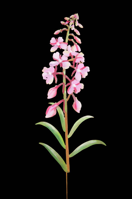 Fireweed Flower Painted Garden Pick