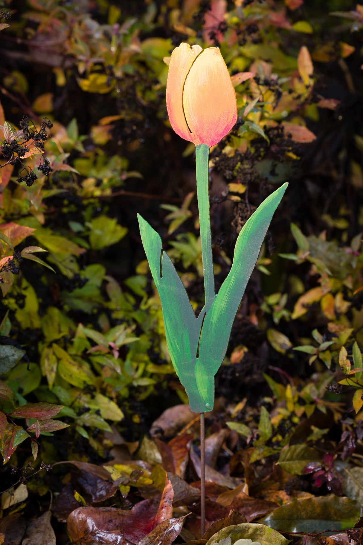 Sun Gold Tulip Pick - Orange