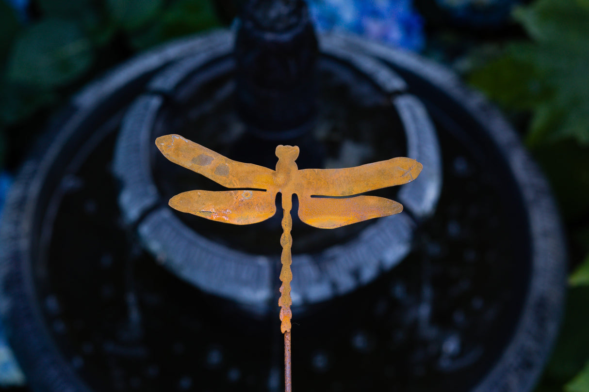 Dragonfly Pick
