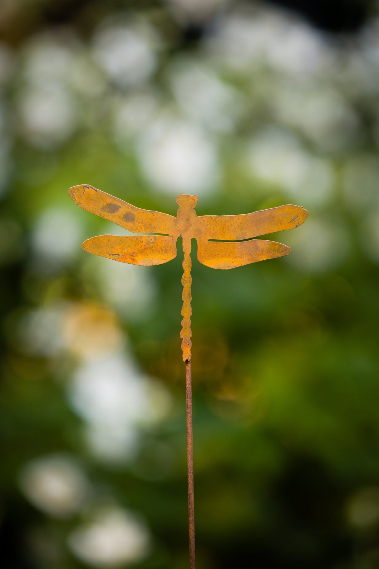 Dragonfly Pick
