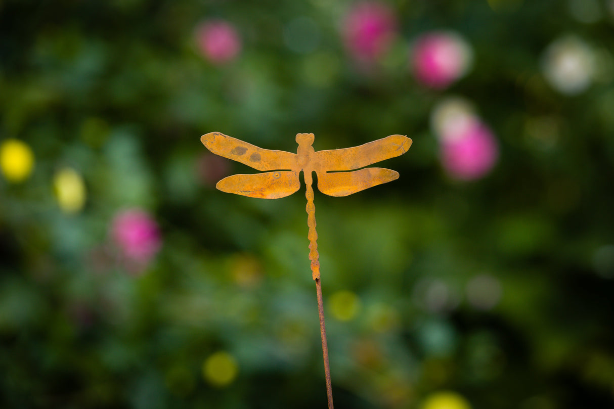 Dragonfly Pick
