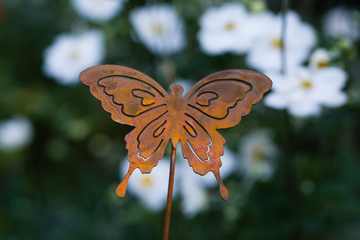 Butterfly Pick