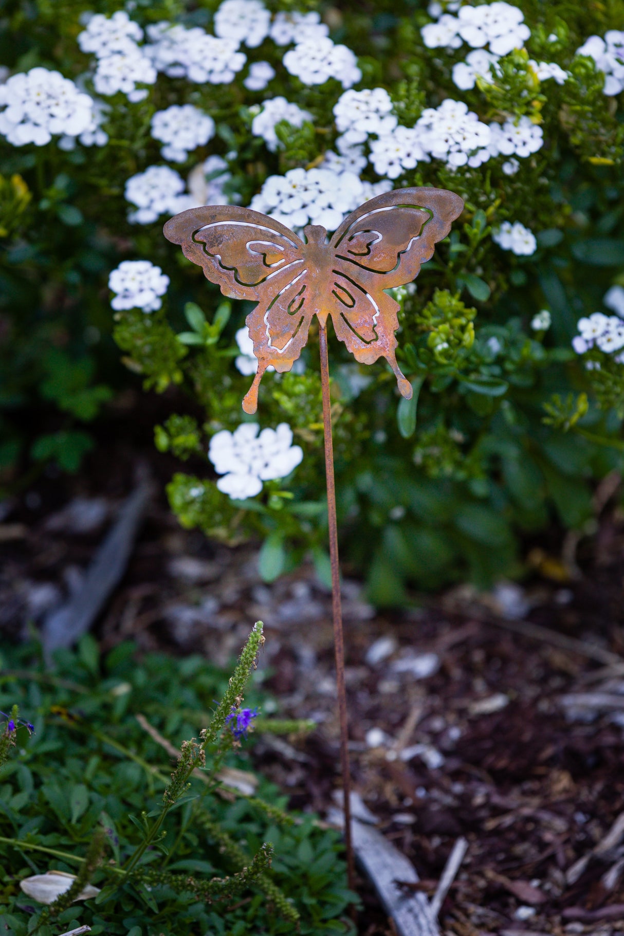 Butterfly Pick