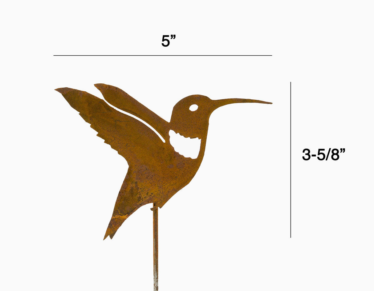 Hummingbird Pick