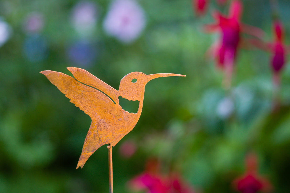 Hummingbird Pick