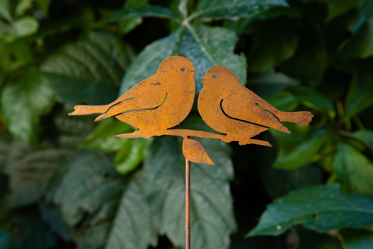 Lovebirds Pick