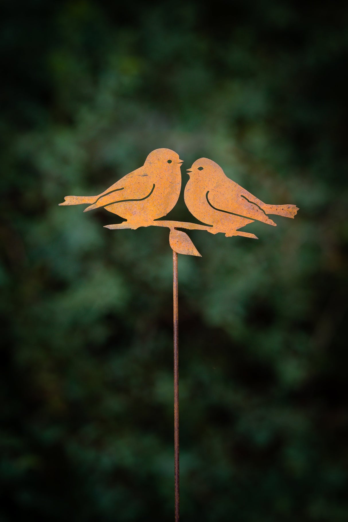 Lovebirds Pick