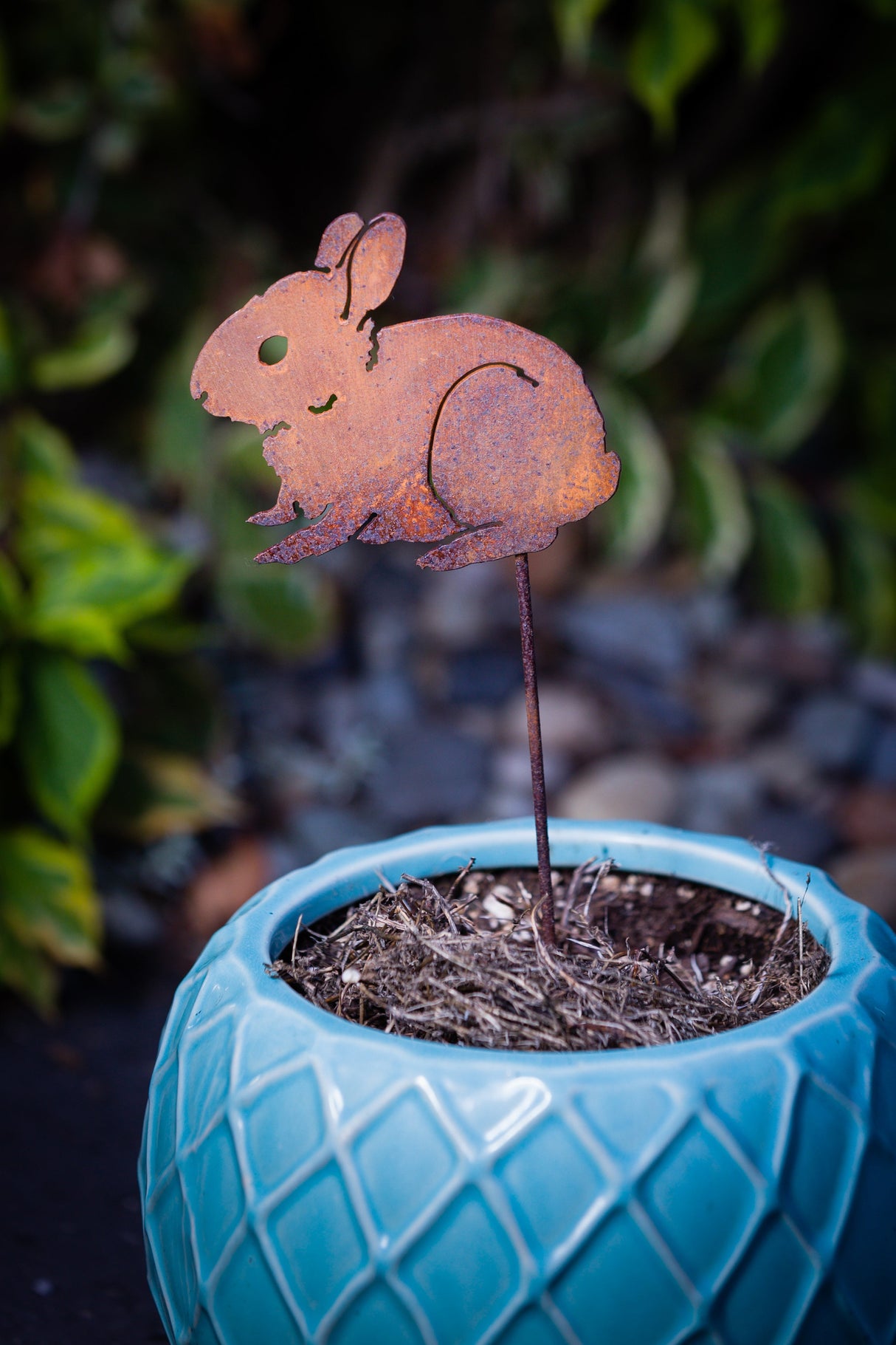 Bunny Baby Pick