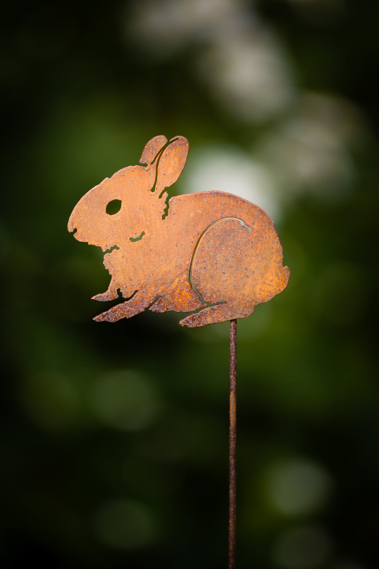 Bunny Baby Pick