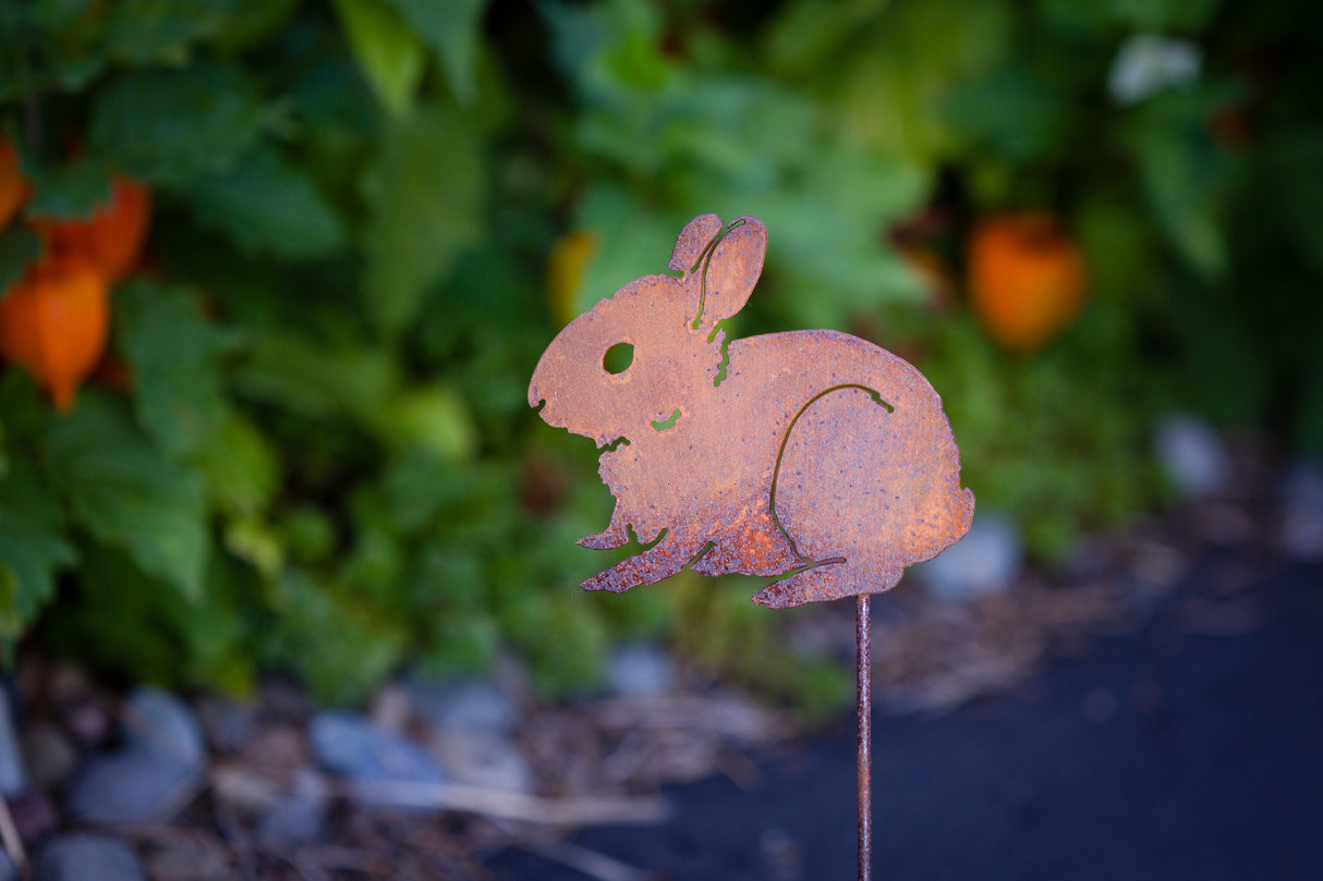 Bunny Baby Pick
