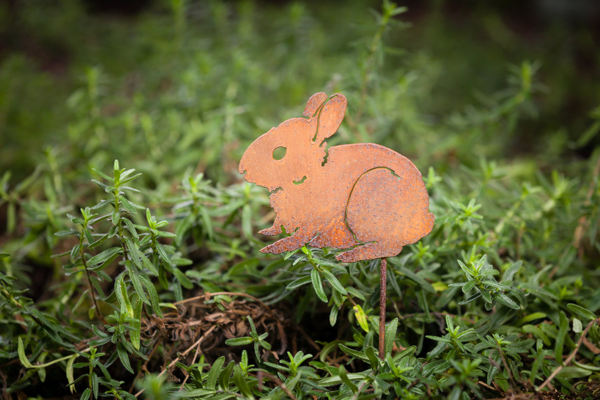 Bunny Baby Pick