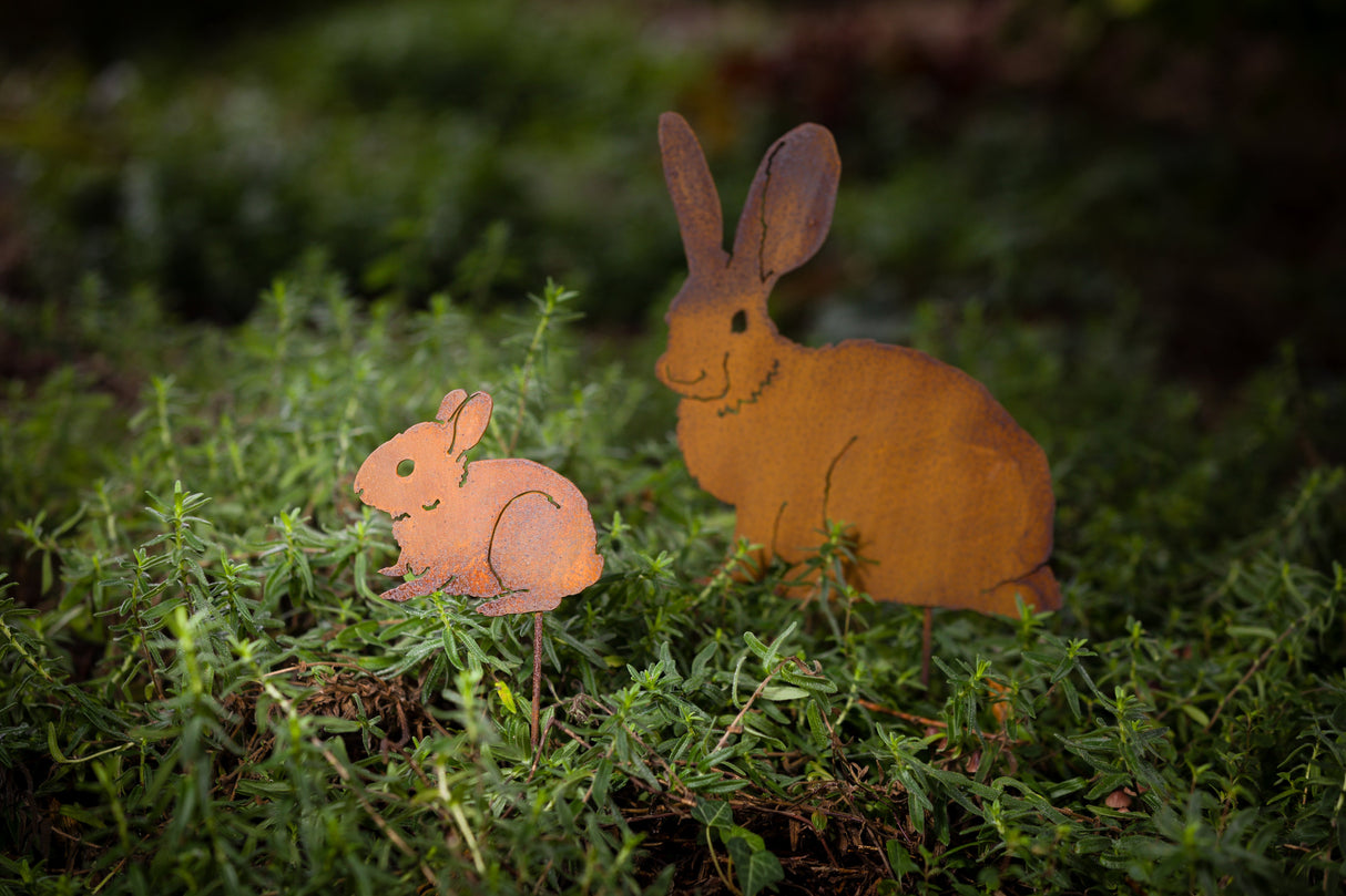 Bunny Baby Pick