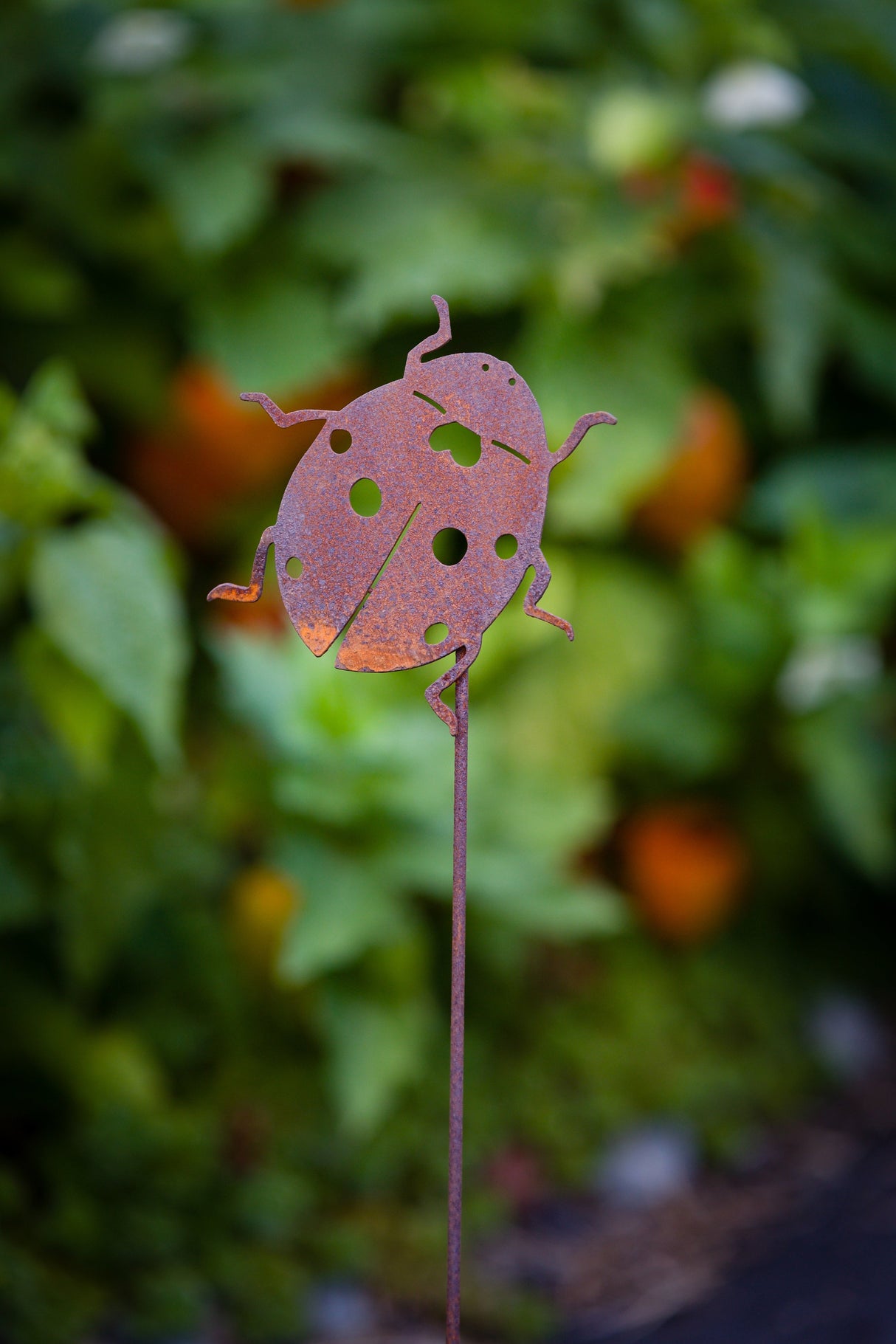 Ladybug Pick