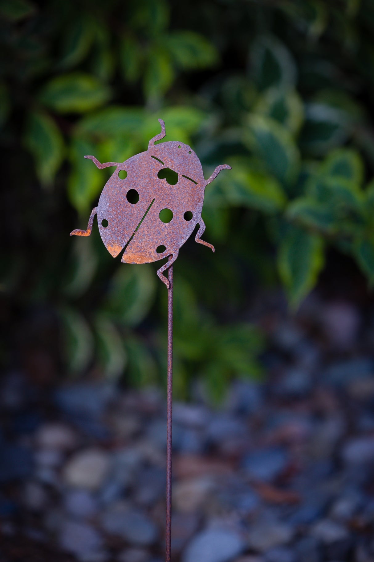 Ladybug Pick