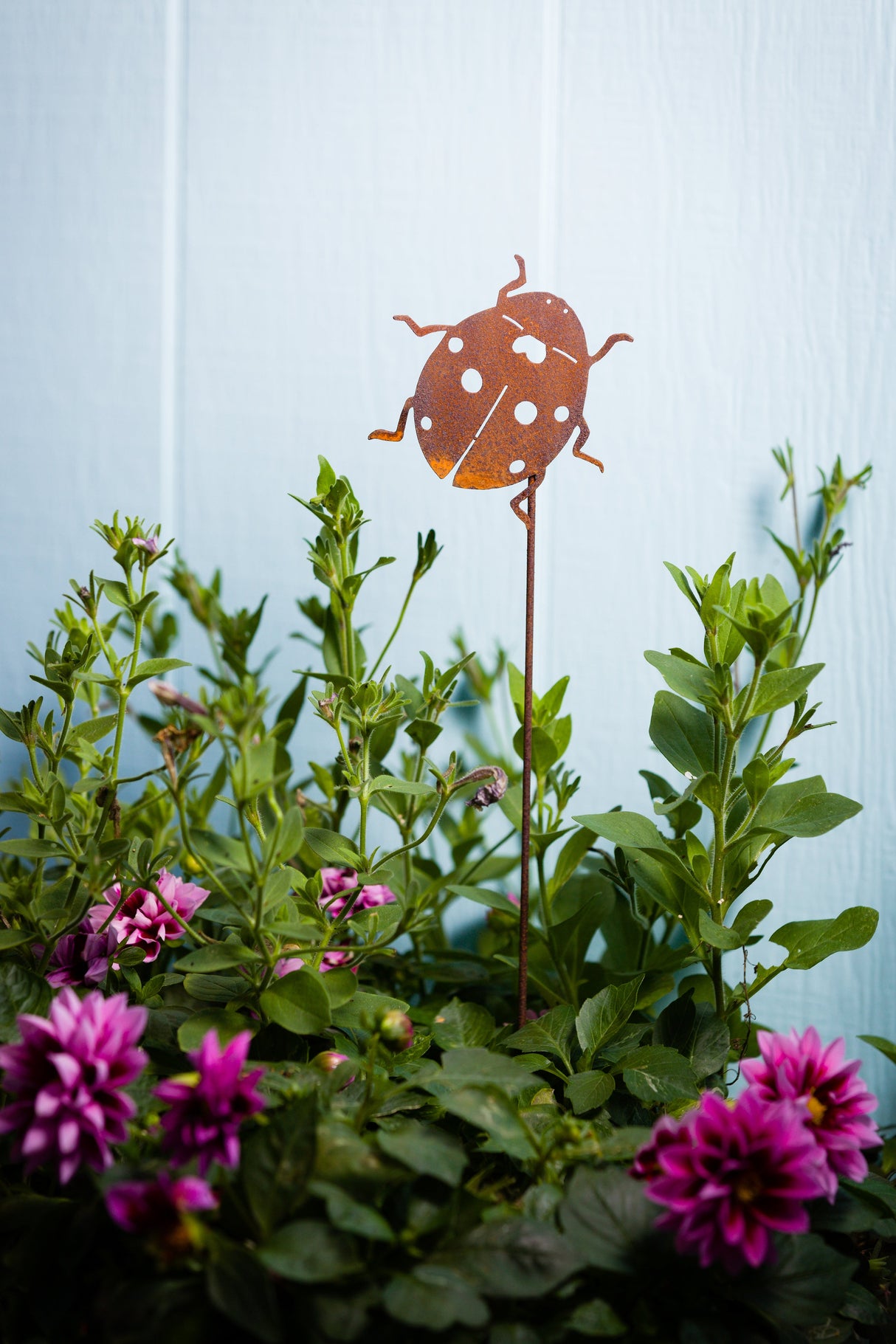 Ladybug Pick