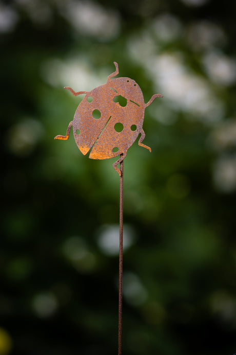 Ladybug Pick
