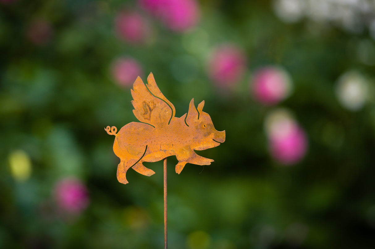 Flying Pig Pick