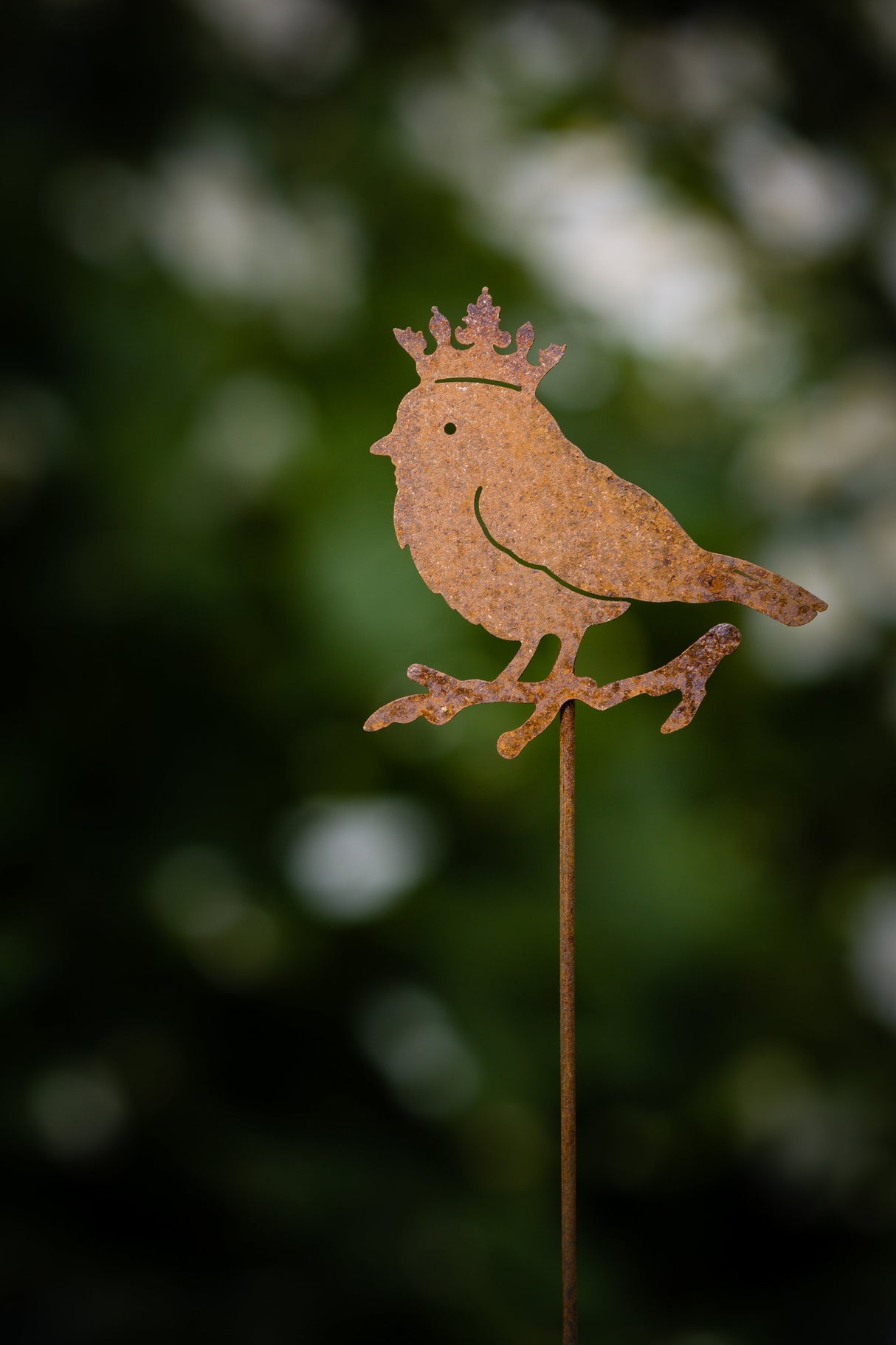 Chickadee with Crown Pick