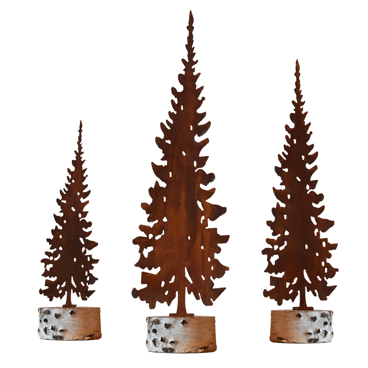 Spruce Tree