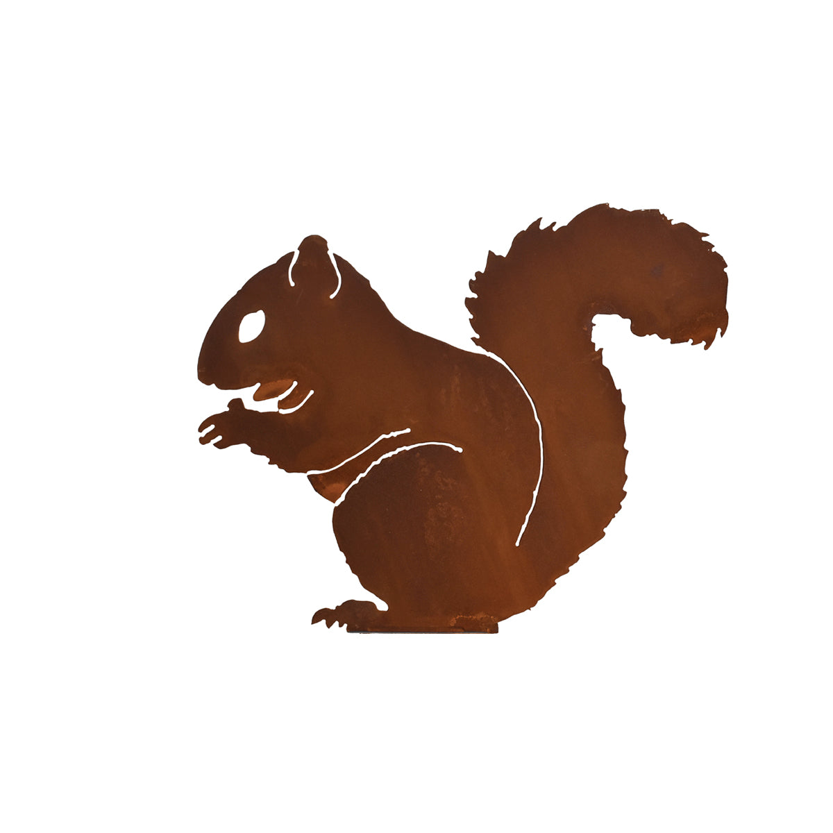 Nibbling Squirrel