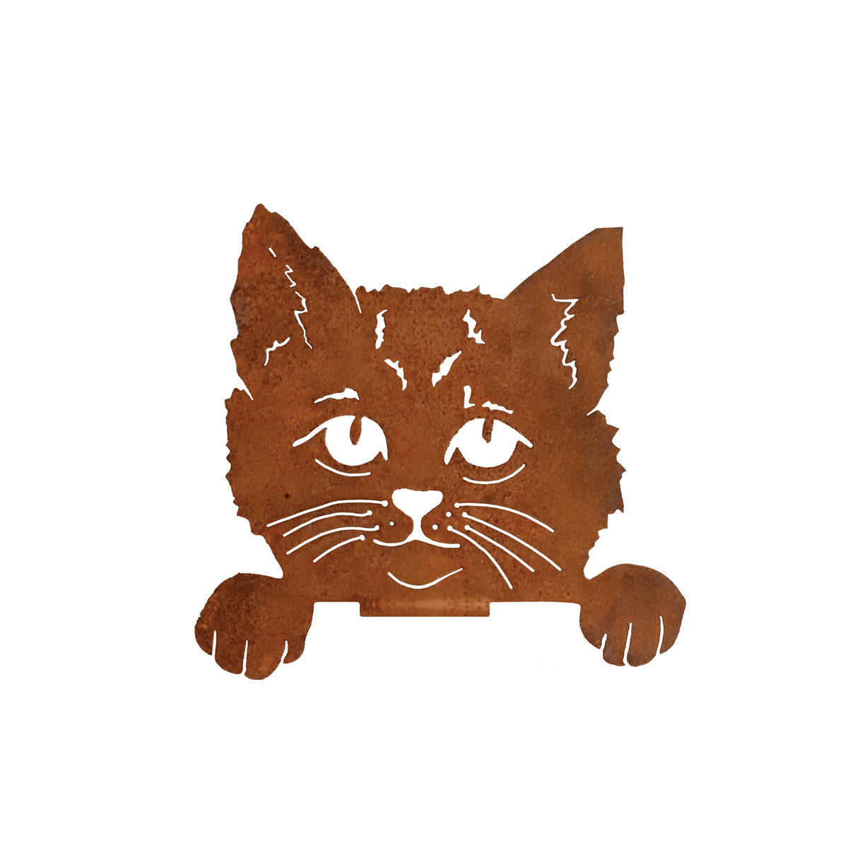 Cat Face