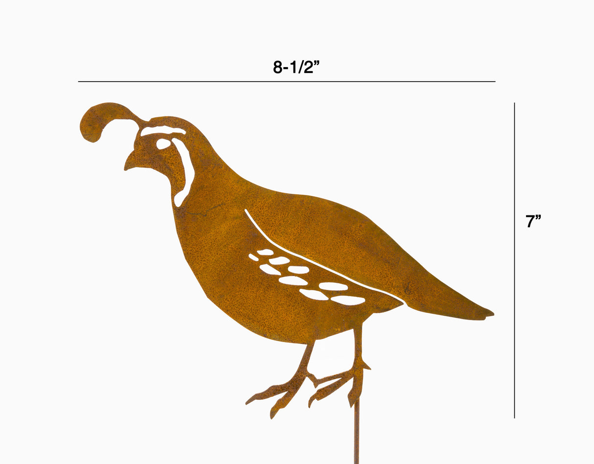 Male Quail Pick
