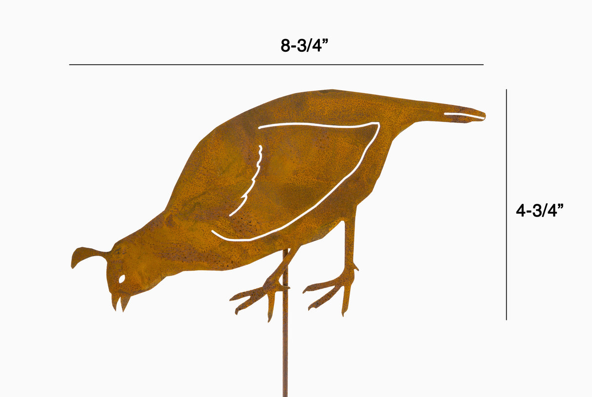 Quail - Female Pick