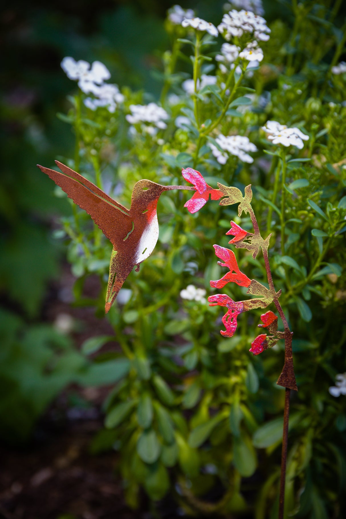 Hummingbird on Salvia Flower Pick - Painted