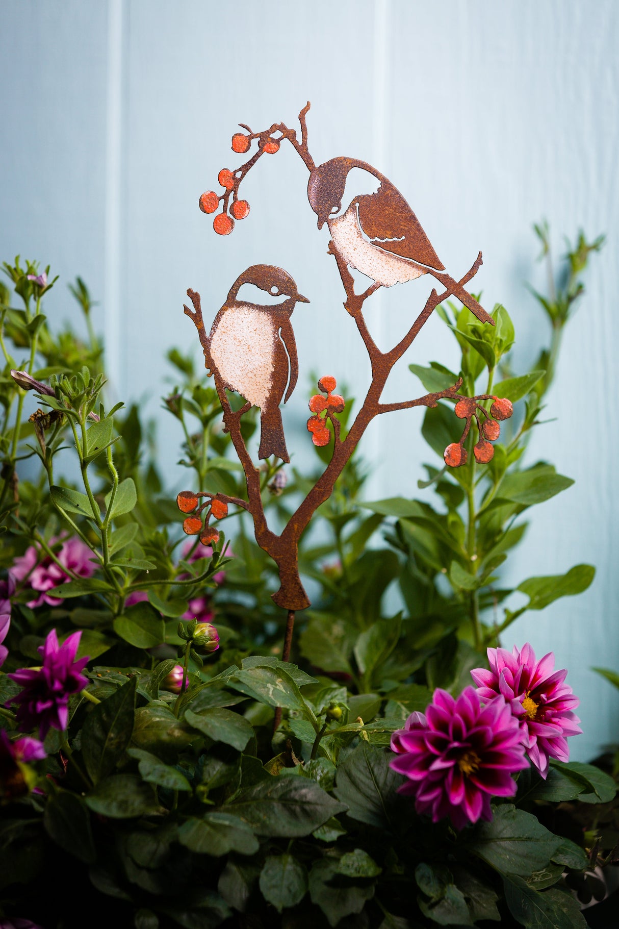 Chickadees & Berries Pick