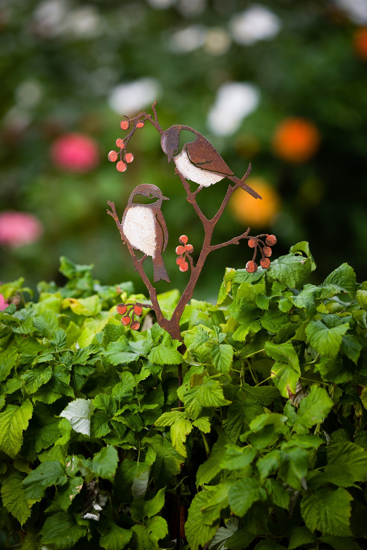 Chickadees & Berries Pick