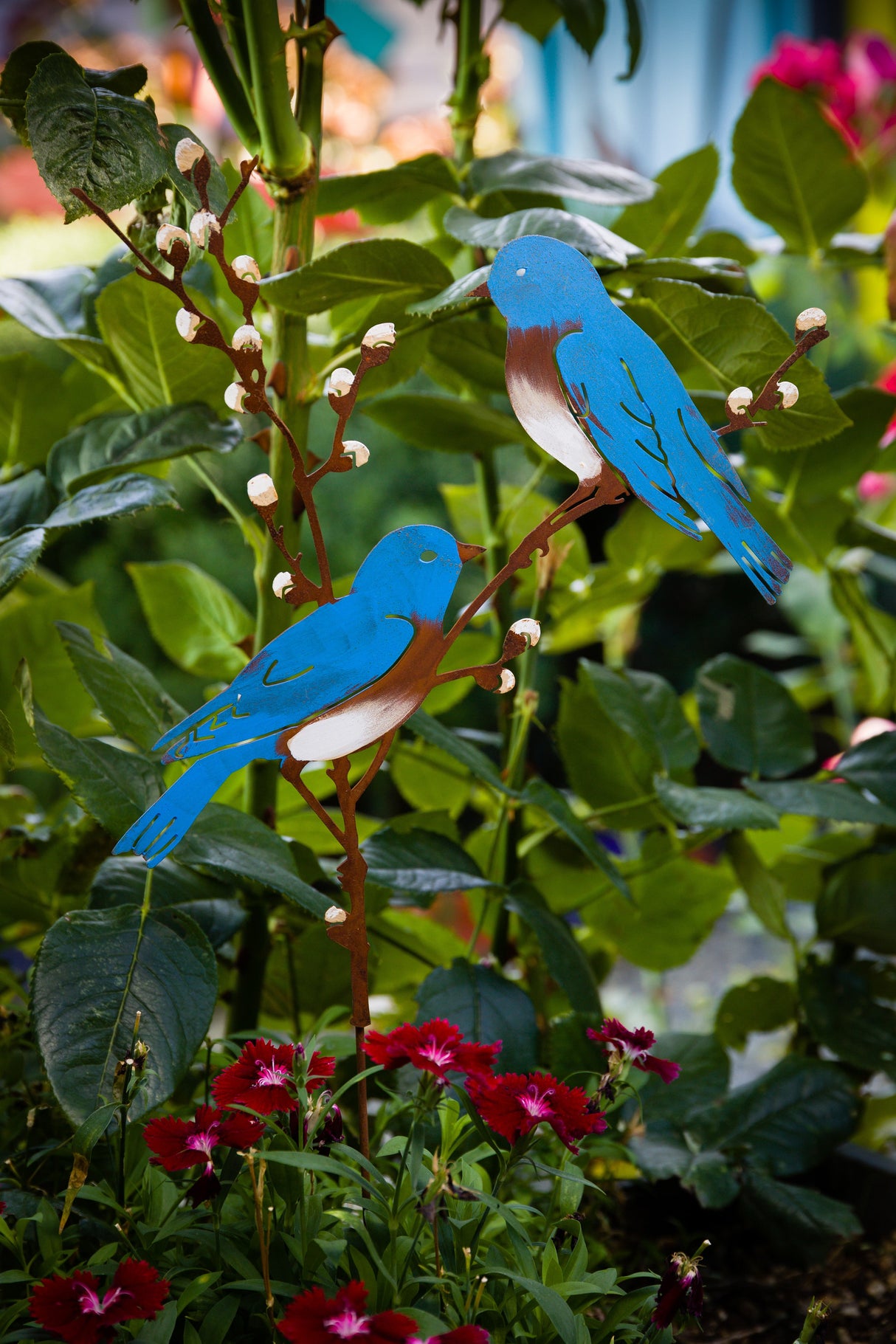 Bluebirds on Willow Branch Pick