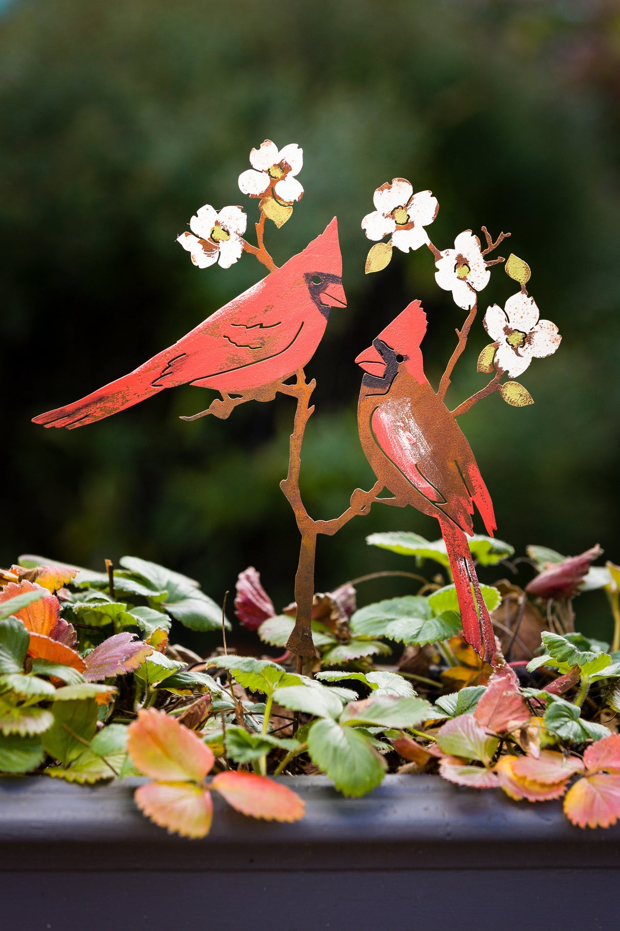 Cardinals On Dogwood Stake